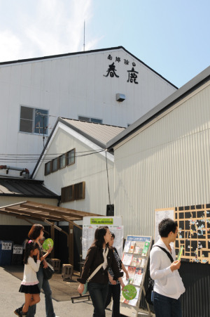 奈良の春鹿