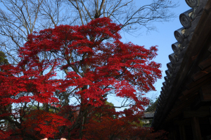 東福寺 東福寺