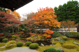 泉涌寺 泉涌寺