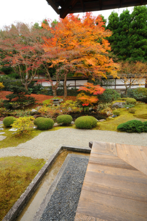 泉涌寺 泉涌寺